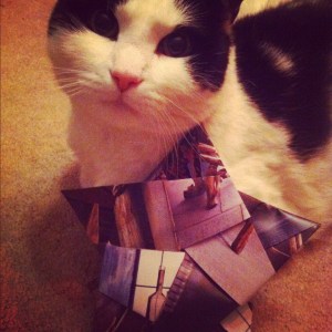 IMG_1007 5-pointed star