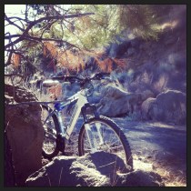 A section of the Deschutes River Trail